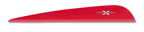 Gold Tip VT Vane 50CT 4-Inch Arrows, Raspberry Red
