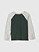 GAP Boys Long Sleeve Logo Raglan Tee Light Heather Grey B08 5YRS
