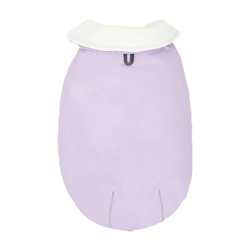 Chien à fourrure pour éviter les frissons pull col roulé sable printemps doux