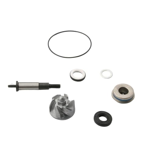 Kit réparation de pompe à eau SH 300 pour entretien Scoopy 300i