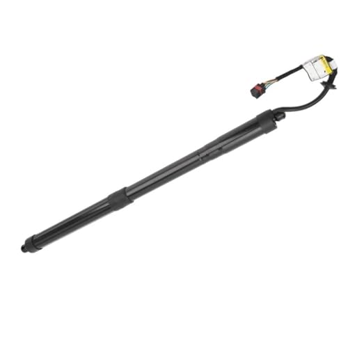 Vérin de hayon électrique pour Hyundai Santa Fe 2013 à 2016 droit 81780-B8100