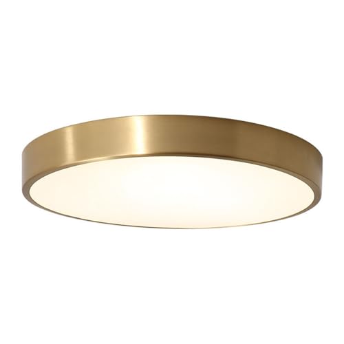 Luminaire Rond Simple Plafonnier LED Tri-couleur Lampe de Plafond Fluide Plaque Plate