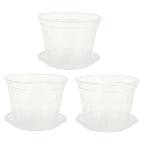 Abono Líquido Plantas Interior Marca CLISPEED