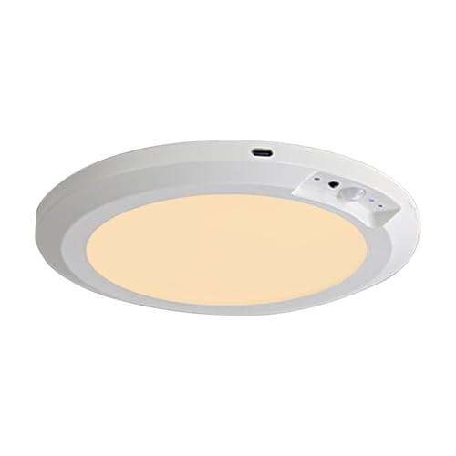Lumière LED pour armoire avec capteur de mouvement pour s'habiller le matin