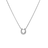 Collar grueso, colgante de herradura en forma de U, cadena simple, collar para mujer, joyería exquisita a la moda
