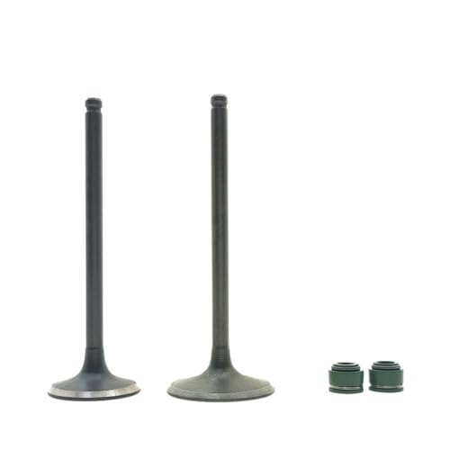 Junta de aceite de válvula CG250 para admisión y escape de moto 250cc short head