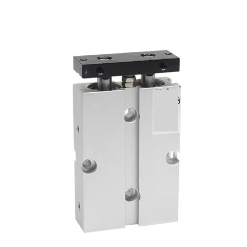 Cylindre pneumatique double tige TN20X60S actionneur double effet