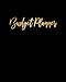 Budget Planner: Weekly and Monthly Financial Organizer | Savings - Bills - Debt Trackers | Modern Black & Gold (January-December 2020)