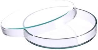 See full amazon price history chart for Pasco Borosilicate Glass Petri Dish, 3 Inch Diameter, Clear Round Tray Pasco Borosilicate Glass Petri Dish, 3 Inch Diameter, Clear Round Tray (B0D97MXT3N) Amazon Price History, Amazon Price Tracker