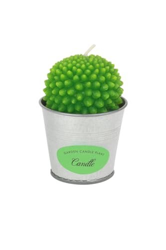 Bougie cactus pot métal pour végétaliser un intérieur sans entretien M1