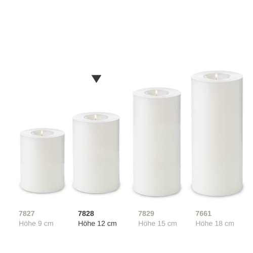 Edzard Cornelius Tealight Candle with a Diameter of 3.15 in - Image 2