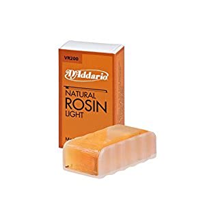 D Z Strad Violin Model 100 With Solid Wood With Case, Bow, And Rosin (4/4 - Full Size) #TOP5