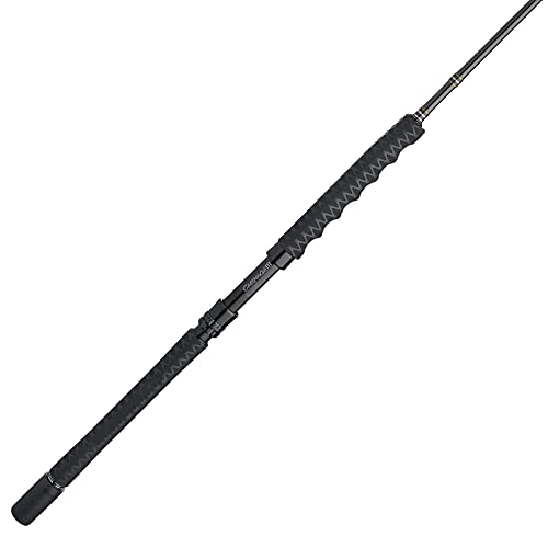 PENN Carnage III Jig Spinning Fishing Rod