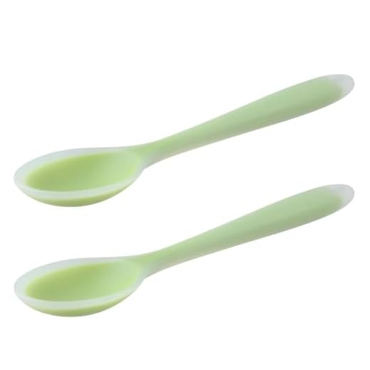 Meal Spoon 2 Pcs Transparent Design Small Rice Spoon(Green)