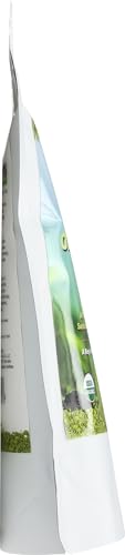 Té Matcha Ceremonial Verde Orgánico 2.82 Onzas miniatura 6