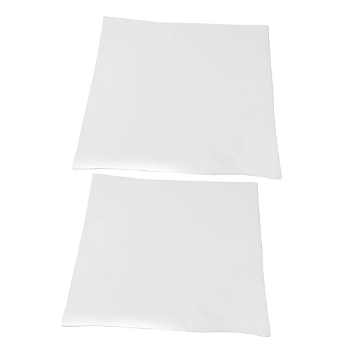 HOMSFOU 2 Sets 30pcs X Sets of Durable Square Ink Paper for Calligraphy and Traditional Painting Practice Rice Paper for Brush and Watercolor Use