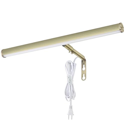Xbuyee LED Picture Lights for Paintings Plug in, 14 Inch 4W Adjustable Art Light Gallery Wall Light for Display Art Work, Antique Brass Finish, CRI90+, 3000K Warm White, ETL Listed