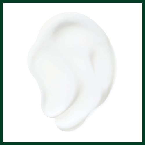 Aveda Nutriplenish Daily Moisturizing Treatment | Leave-In Hair Treatment for Dry Hair | Heat Protectant | Organic Pomegranate Oil, Coconut Oil, Mango Butter