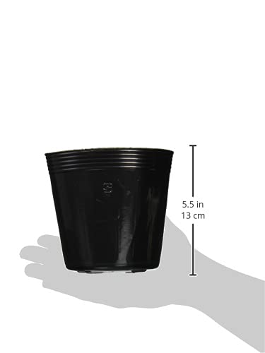 Amazon.co.jp: 石本マオラン ポリポット 15cm 100個入 黒 : DIY