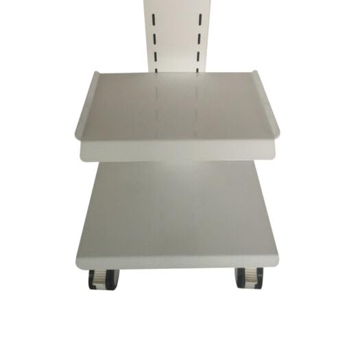 Salon Trolley Carrello con ruote, Carrello di Bellezza, Salone Vassoio Spa Servizio Carrello per Estetista Acciaio Mobile Bellezza