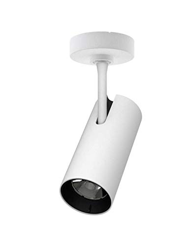 LEDBOX Foco Superficie 33W PROLUX Chip Led CREE, driver Tridonic, Blanco neutro