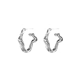Big Stud Earrings For Women Internet Famous Stud Earrings Design Elegant For Women Ears (Silver, 1.00)
