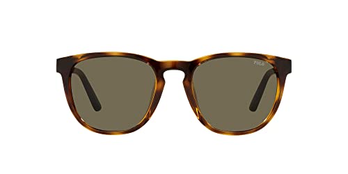 Preisvergleich Produktbild Polo Ralph Lauren PH4182U-5003 / 3-53 - Herren Sonnenbrille - SHINY HAVANA