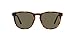Produktbild Polo Ralph Lauren PH4182U-5003/3-53 - Herren Sonnenbrille - SHINY HAVANA