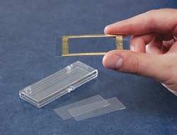 549164 1801-G20 Gridded Sedwick Rafter Counting Cell