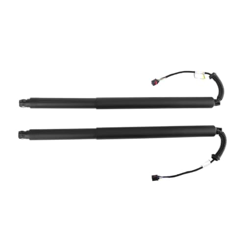 Vérins de coffre électriques 905615AA1A pour Nissan Murano Z52 2015