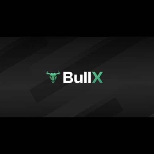 Bullx.io Titelbild