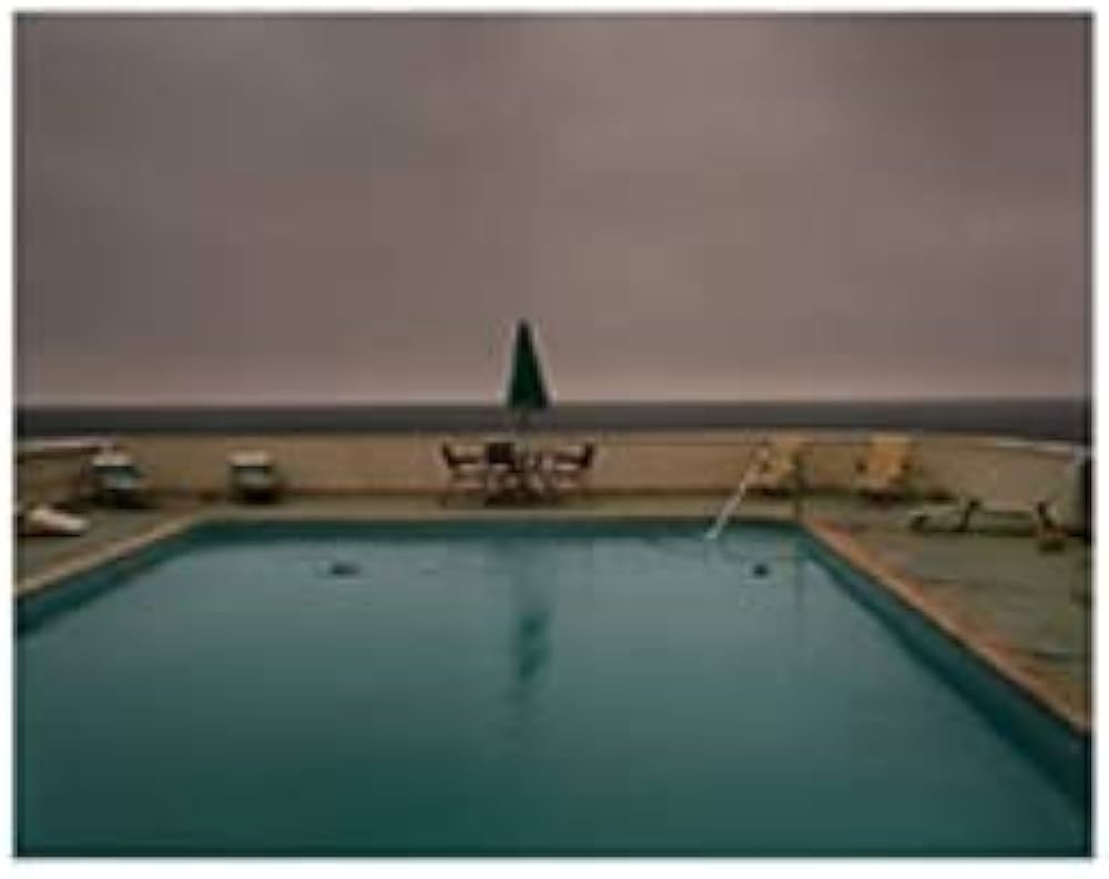 Joel Meyerowitz「Between the dog and the wolf」写真集 / SUPER LABO