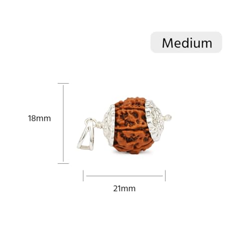 Image of GEMSMANTRA 7 Mukhi Rudraksha With Pendant in 92.5 Sterling Silver Original Nepali, Medium size, Natural and Lab Certified, Helps to Improve Wealth, Prosperity, and Success, Helps Protect from Negative Energies (Brown, Unisex)
