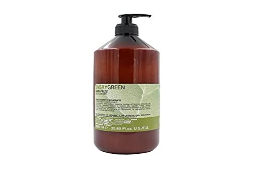 Dikson Everygreen - Balsamo anti-frizz, 1000 ml