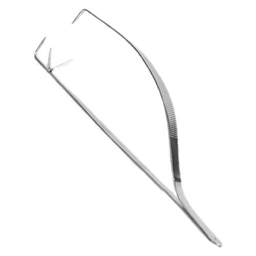 NUOBESTY Glaze Pliers Dipping Tong Heavy Duty Flask Tongs Pliers Ceramic Glazing Clip Polymer Pliers Jewelry Pliers Sculpture Tong Glass Beaker Pottery Tool