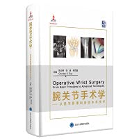 Wrist surgery-from basic principles to advanced surgical techniques 7565923966 Book Cover