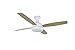 MyWave Ventilatore da soffitto con luce da 4 pale da 48", telecomando, potenza 60 W