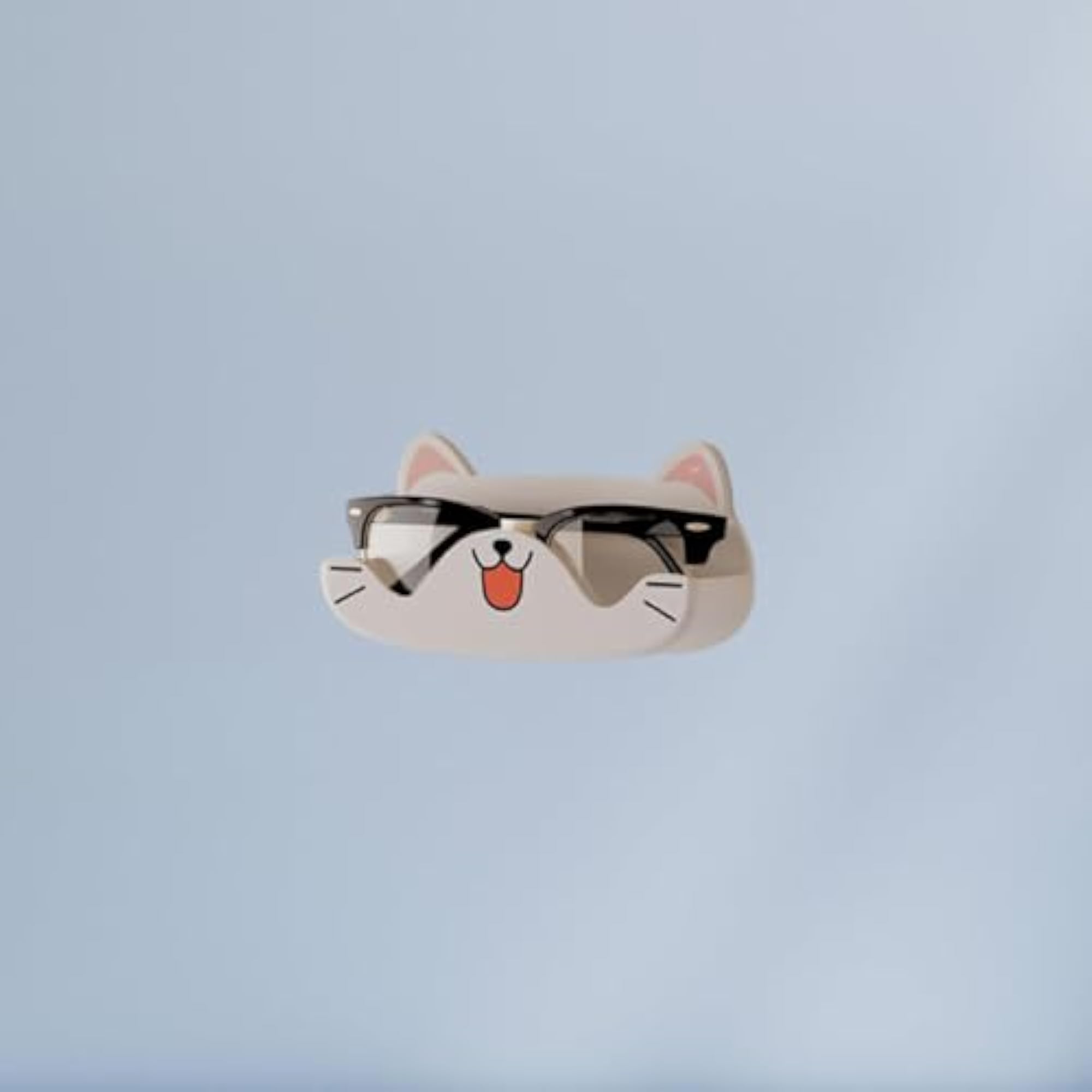 Sunglasses Organizer for Home Decor, 2x Portable Eye Glasses Storage