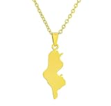 SAKVILSEC Tunisia Map Pendant Necklaces For Women Men Stainless Steel North Africa Tunisienne Jewelry Gift (Gold Color,45cm Chain)