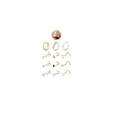 JeryWe Nose Rings for Women - 14K Gold Filled Hypoallergenic Surgical Steel Nose Ring Hoops CZ Lip Ring Screw...