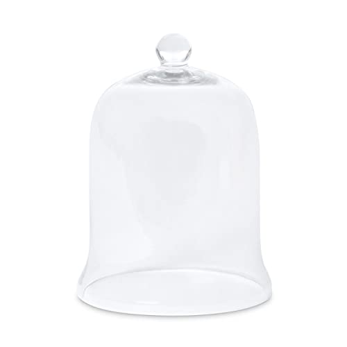 Glass Cloche Bell Jar - Plant Terrarium - Centerpiece Dome Display (12.5" x 9")