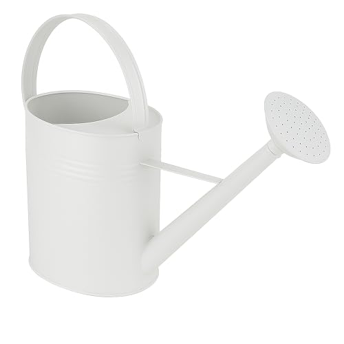 HRB Zinkgießkanne 10 L, Gießkanne feuerverzinkt, langlebige Metallgießkanne für den Innen- und Außenbereich Giesskanne mit Gießbrause Bewässerungssystem (Weiß, 10 Liter)
