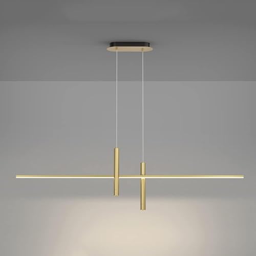 Plafond Lampe Suspendue LED Dimmable pour Ajuster Votre Lumière