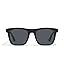 Black/Smoke Polarizedarized
