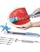 Watermelon Slicer Fruit Knife-PATENTED-RUCACIO Melon and Cantaloupe Fruit Slicer Carving and Cutting Tools for Home Easy Grip Kitchen Gadgets Set with 2 in 1 Melon Baller & Fruit Carve 4 Forks (BLUE)