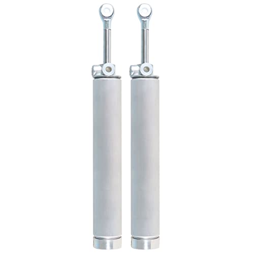 labwork 2 Pcs Aluminum Convertible Top Piston Hydraulic Lift Cylinder Replacement for Mustang 1999-2004