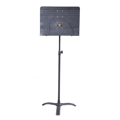 ʑ ʑ䂪ȂA݂tgʑA^̌ⶕʑ yX^h