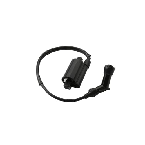 Bobina de encendido YP250 para el mantenimiento y reparación de scooters de 250cc