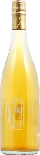 Miniatura 5 de TOST Té blanco espumoso de arándano, jengibre y especias, 25.4 fl oz