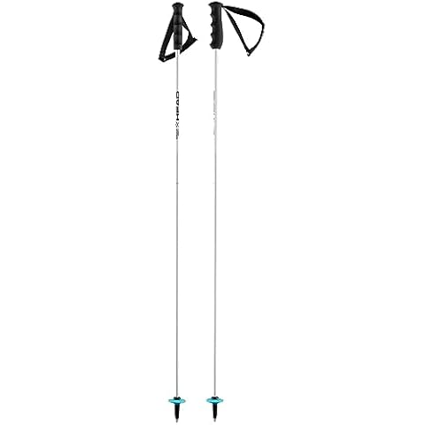 HEAD Worldcup Rebels Carbon Ski Poles Cover